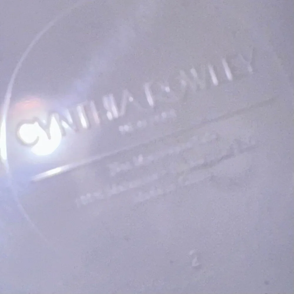 Cynthia Rowley plate good